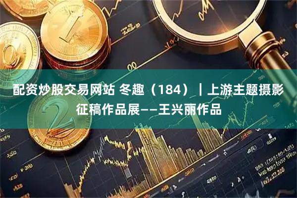 配资炒股交易网站 冬趣（184）｜上游主题摄影征稿作品展——王兴丽作品